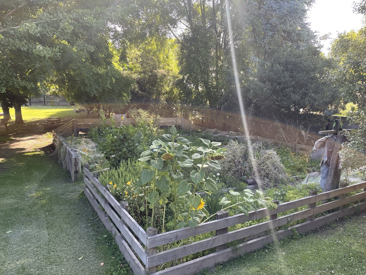 The vegetable garden at The Farmyard