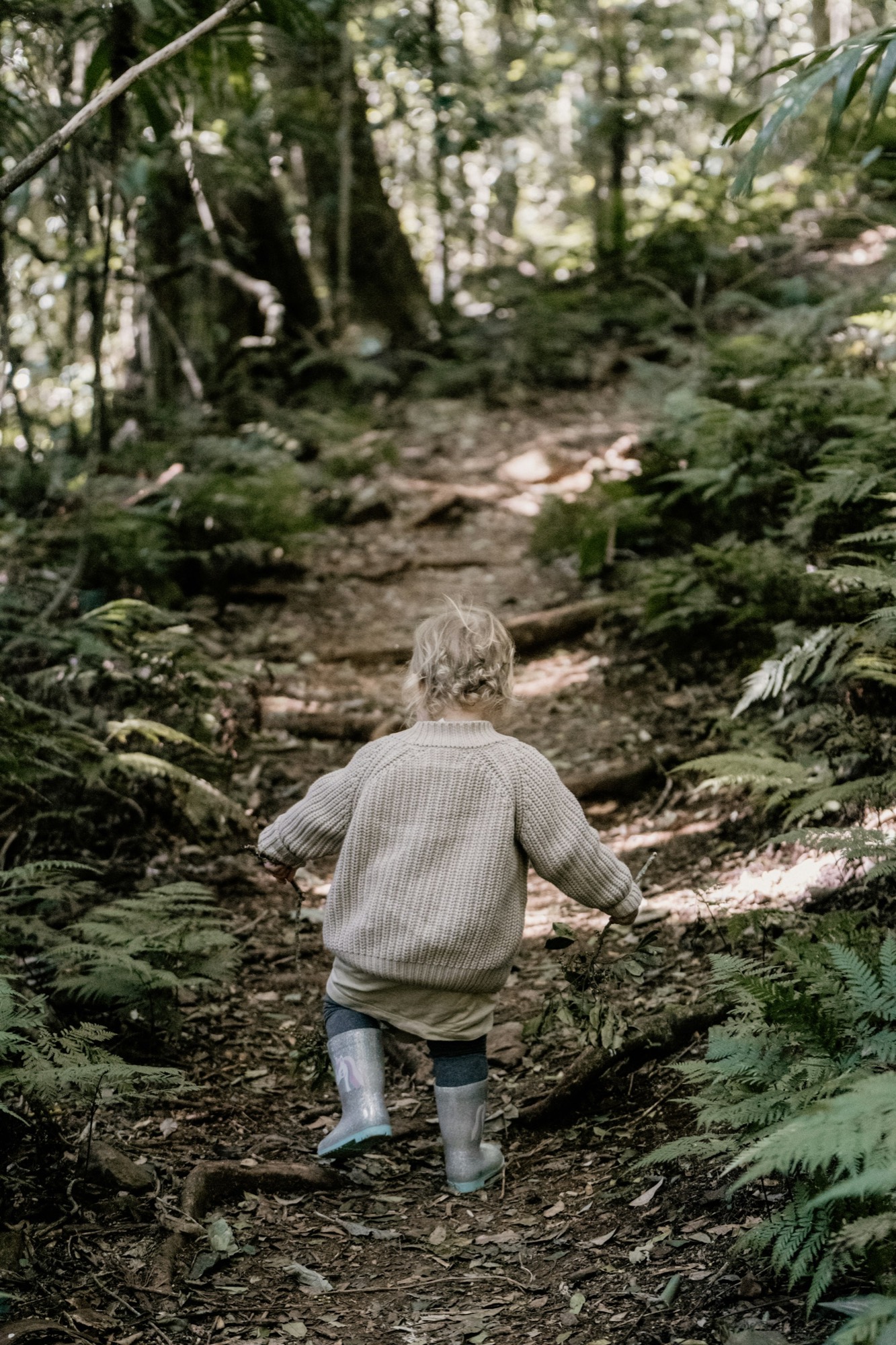 A child walking along a forest path